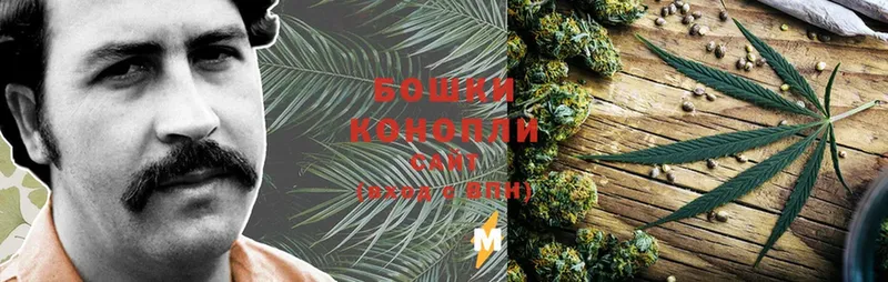 Бошки марихуана SATIVA & INDICA  Курчатов 